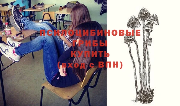 прущая мука Киренск