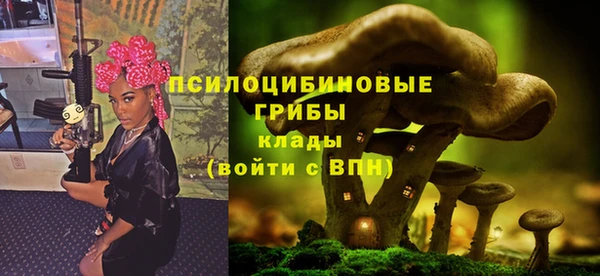 МДПВ Бикин