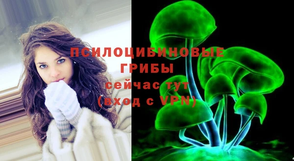 mdma Каменка
