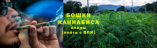 МДПВ Бикин